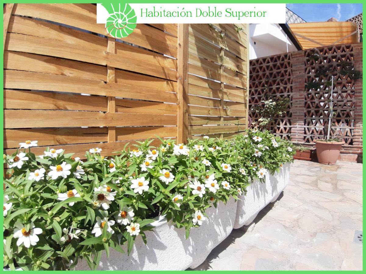 Ferienwohnung Biznaga Hols (Adults Only) Benalmádena Exterior foto